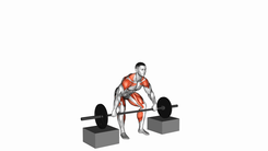 Barbell Snatch from Blocks